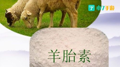 羊胎素什么梗